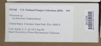 Image Associated With the Occurence